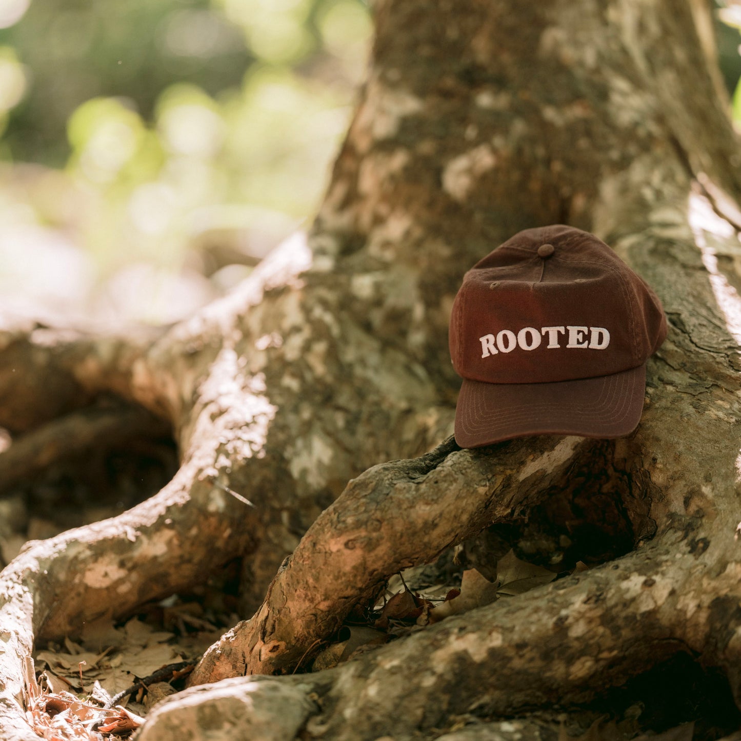 Rooted Baseball Hat